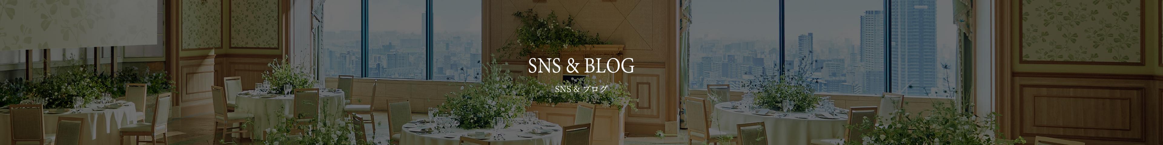 sns_image